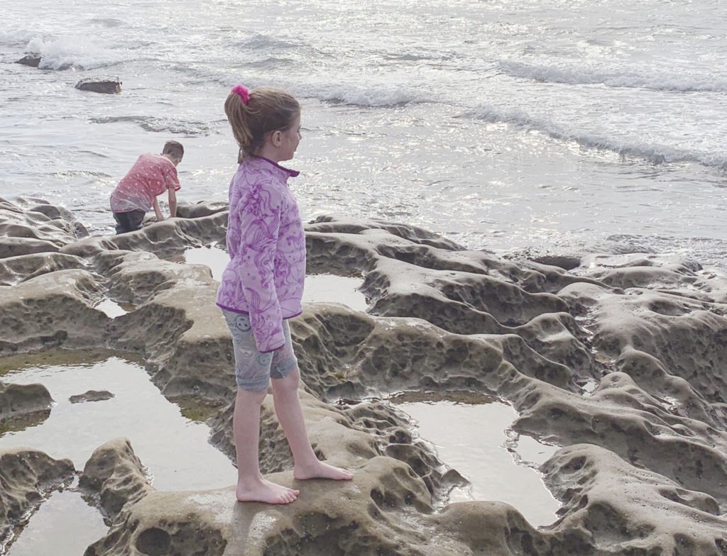 calming beach waves and beauty of the La Jolla tide pools